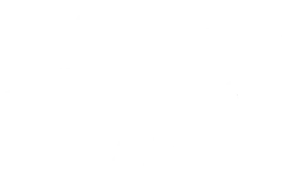 RAW Vector Studio